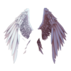 Ailes Fallen Aengel