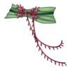 D&eacute;clinaisons