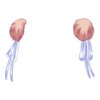https://www.eldarya.fr/static/img/item/player/icon/c9036aca3f69071e422563207883f003.png