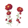 D&eacute;clinaisons