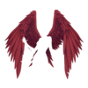 Ailes Fallen Aengel