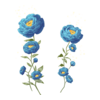 D&eacute;clinaisons