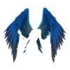Ailes Fallen Aengel