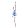 D&eacute;clinaisons