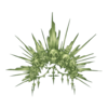 https://www.eldarya.fr/static/img/item/player/icon/e3249c492f127b8fd0e55b3498673108.png