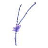 D&eacute;clinaisons