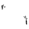 D&eacute;clinaisons
