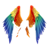 Ailes Fallen Aengel