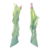 D&eacute;clinaisons