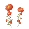 D&eacute;clinaisons