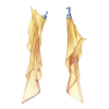 D&eacute;clinaisons